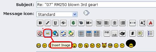 insert image button.JPG