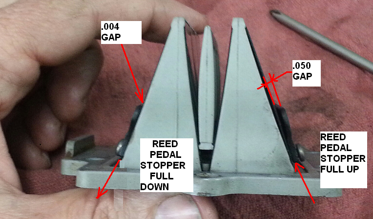 V FORCE 2 REED VALVE INSTALLATION -5.PNG