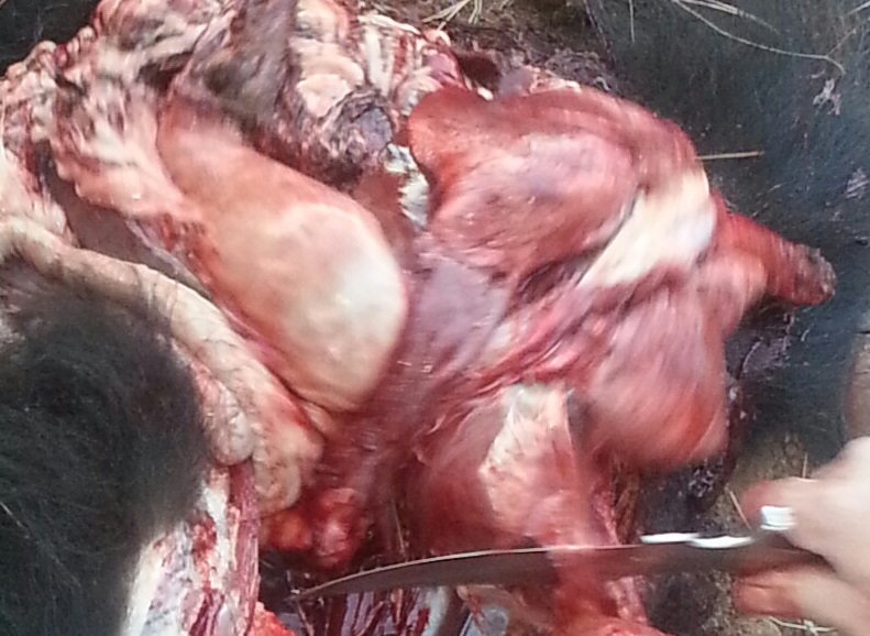 10-18-13 summer lake 4.jpg