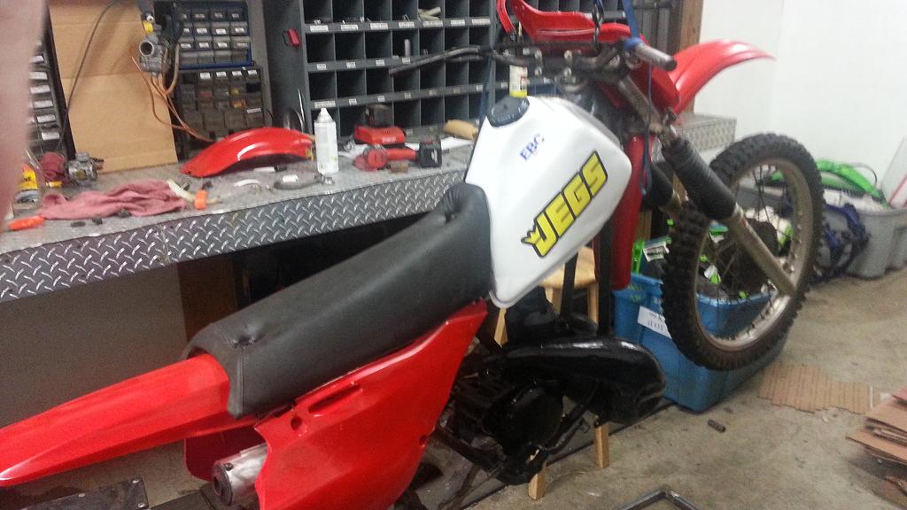 SHOP MASCOT BIKE 2.JPG