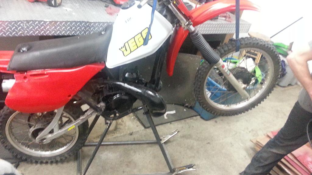 SHOP MASCOT BIKE 6.JPG