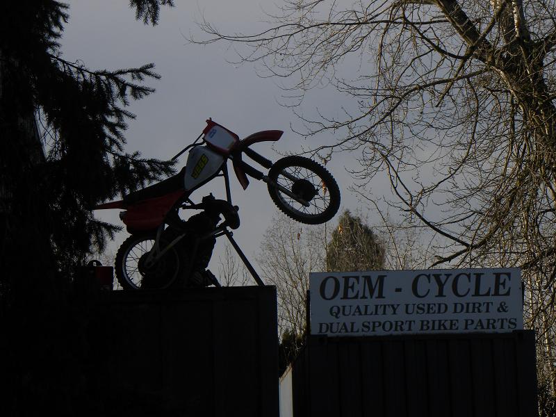 SHOP MASCOT BIKE 8.JPG