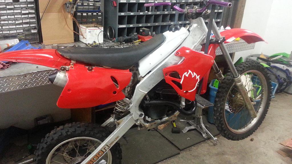 SHOP MASCOT BIKE NUMBER 2 8.JPG