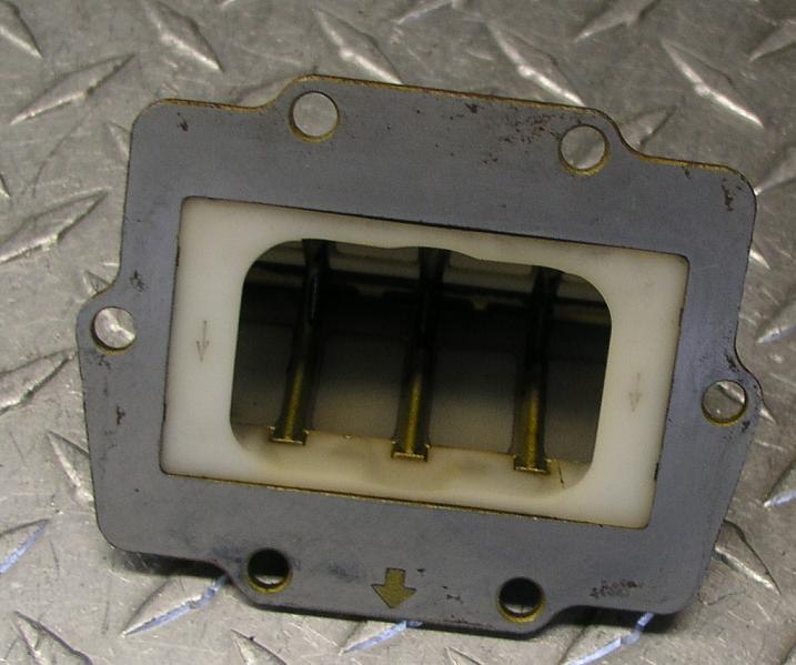 1987 kx500 reed with stuffer.JPG