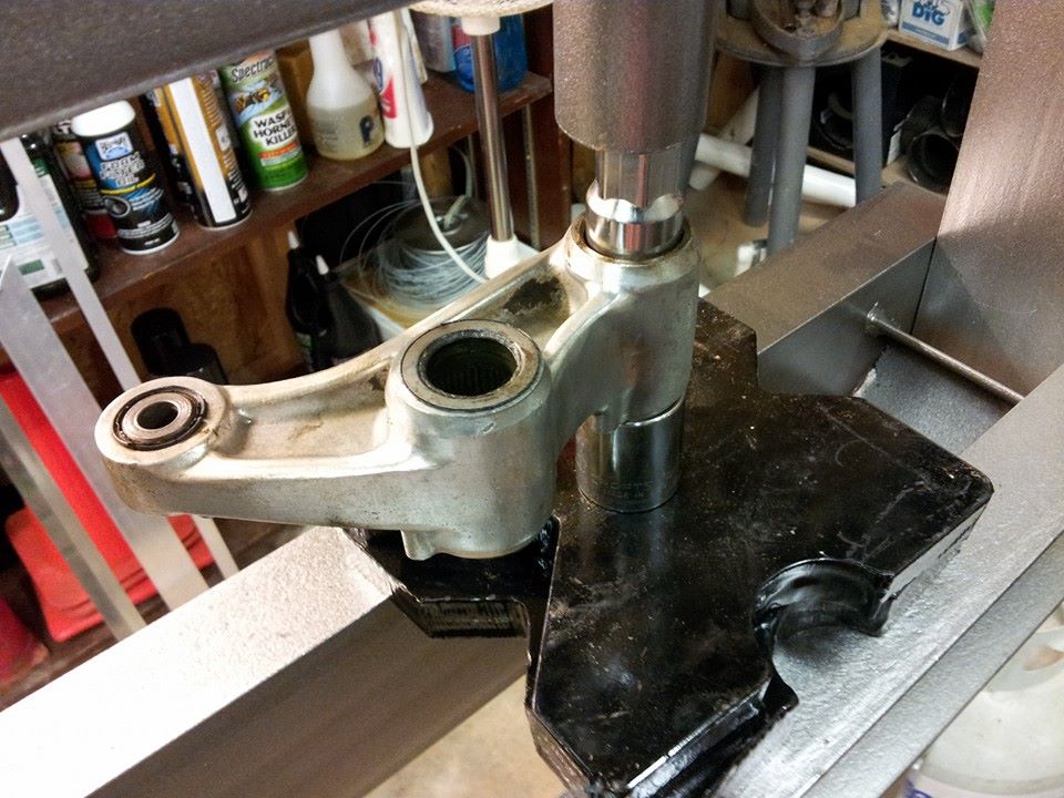 queen of spodes 89 kx125 4-7.jpg