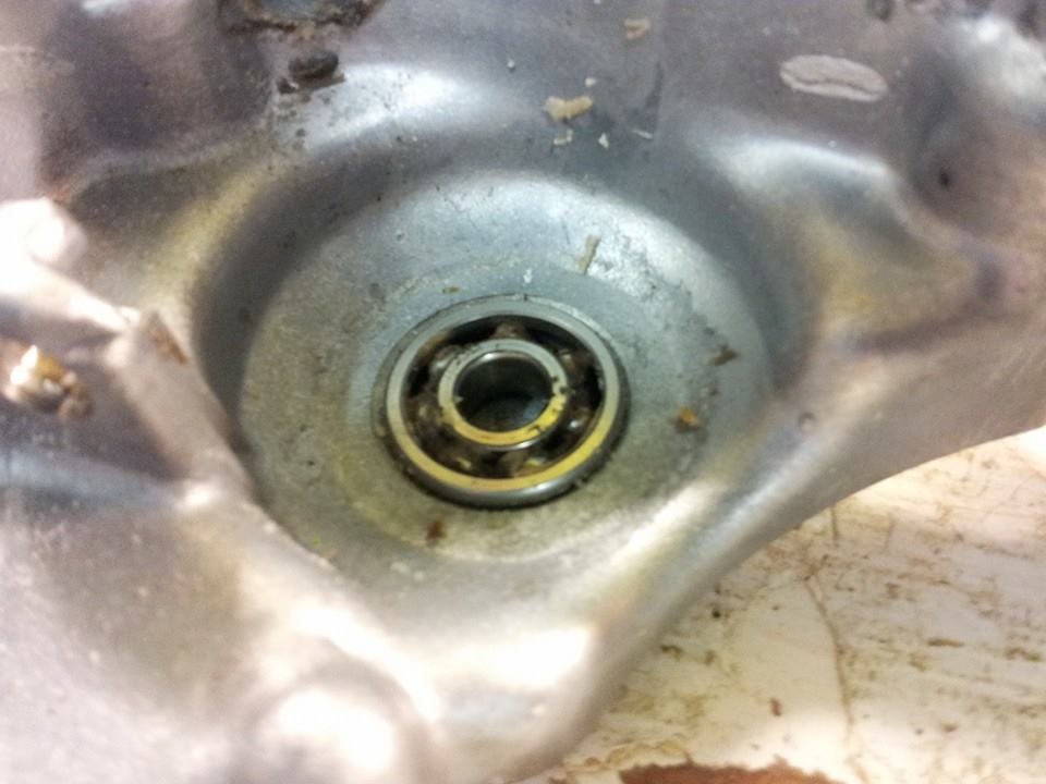 queen of spodes 89 kx125 7-6.jpg