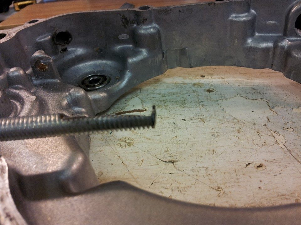 queen of spodes 89 kx125 7-7.jpg