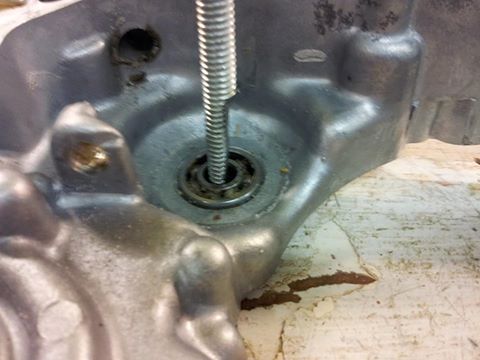 queen of spodes 89 kx125 7-8.jpg