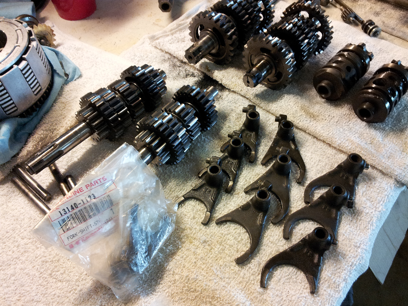 queen of spodes 89 kx125 104.png