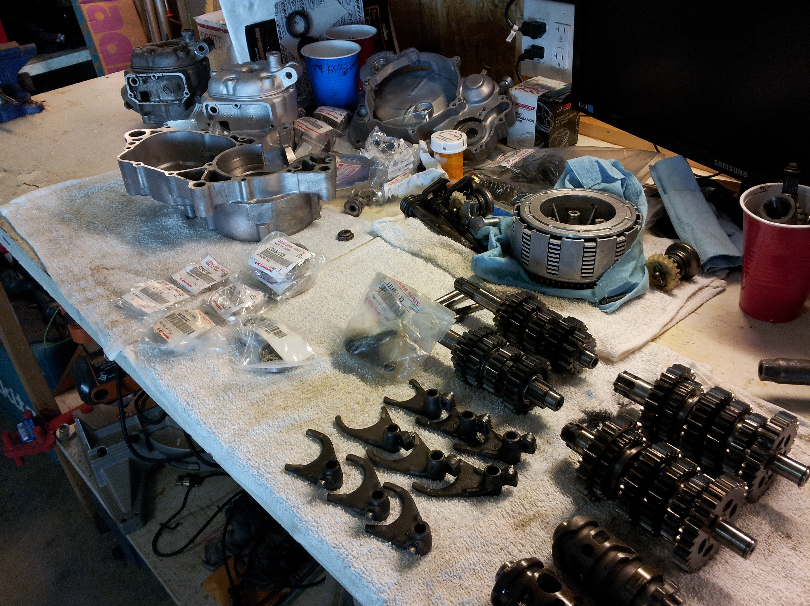 queen of spodes 89 kx125 105.png