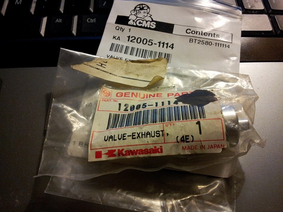 queen of spodes 89 kx125 121.jpg