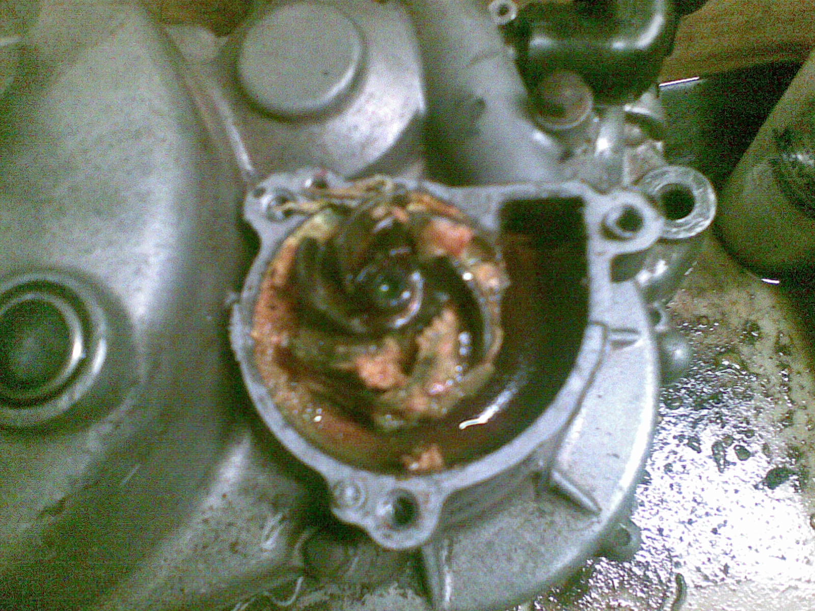 IMG-20150909-WA0007.jpg
