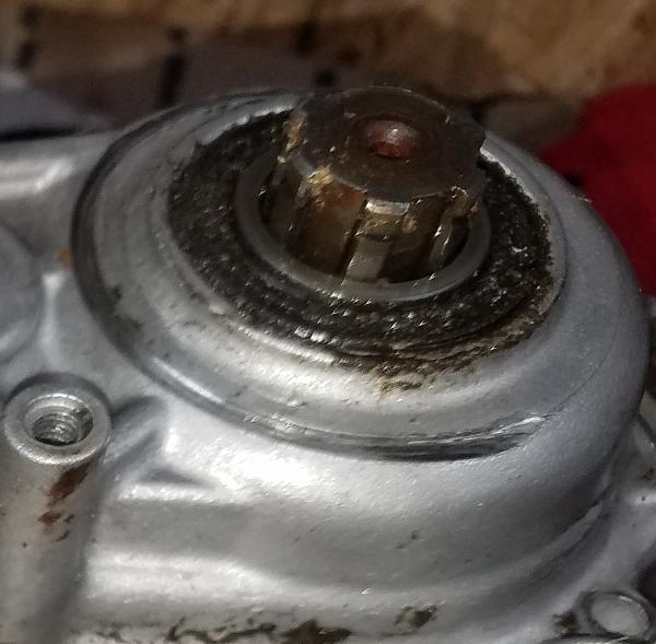 KX GURU RACING SEAN COLLIER KX500 151.JPG