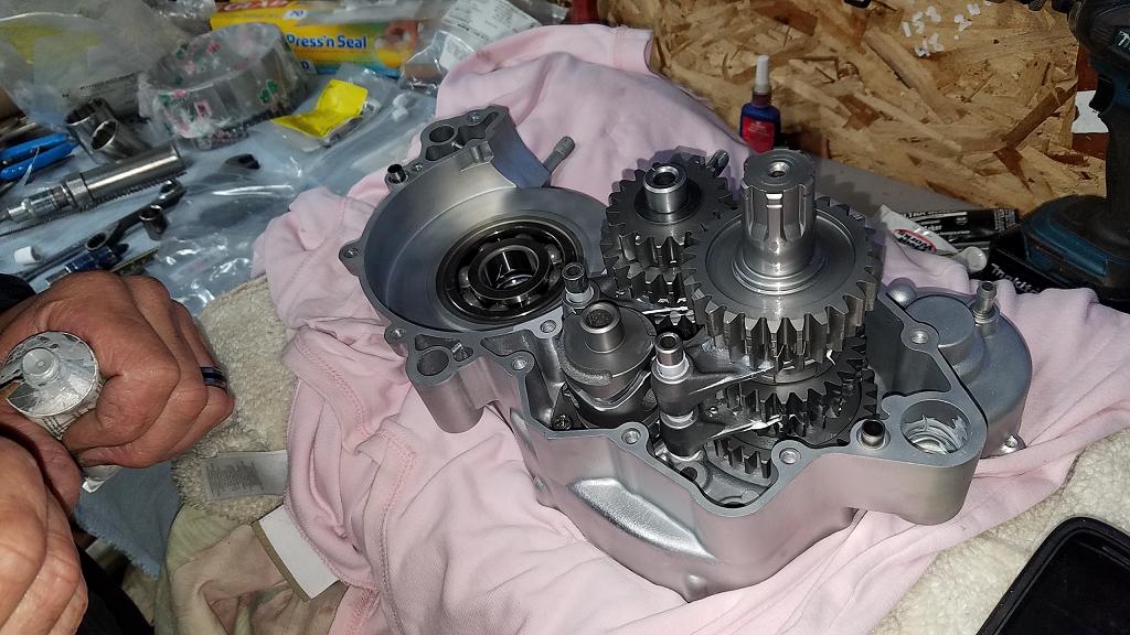 KX GURU RACING SEAN COLLIER KX500 337.JPG