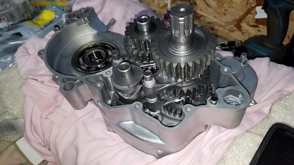 KX GURU RACING SEAN COLLIER KX500 338.JPG