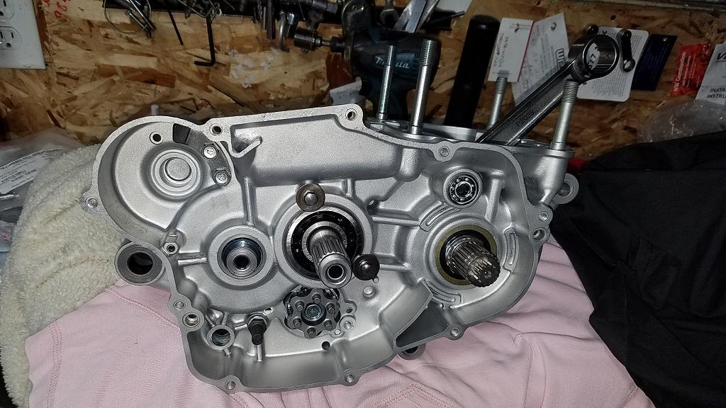 KX GURU RACING SEAN COLLIER KX500 341.JPG