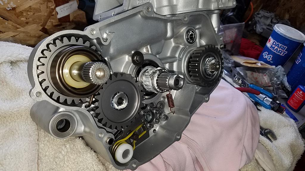 KX GURU RACING SEAN COLLIER KX500 346.JPG