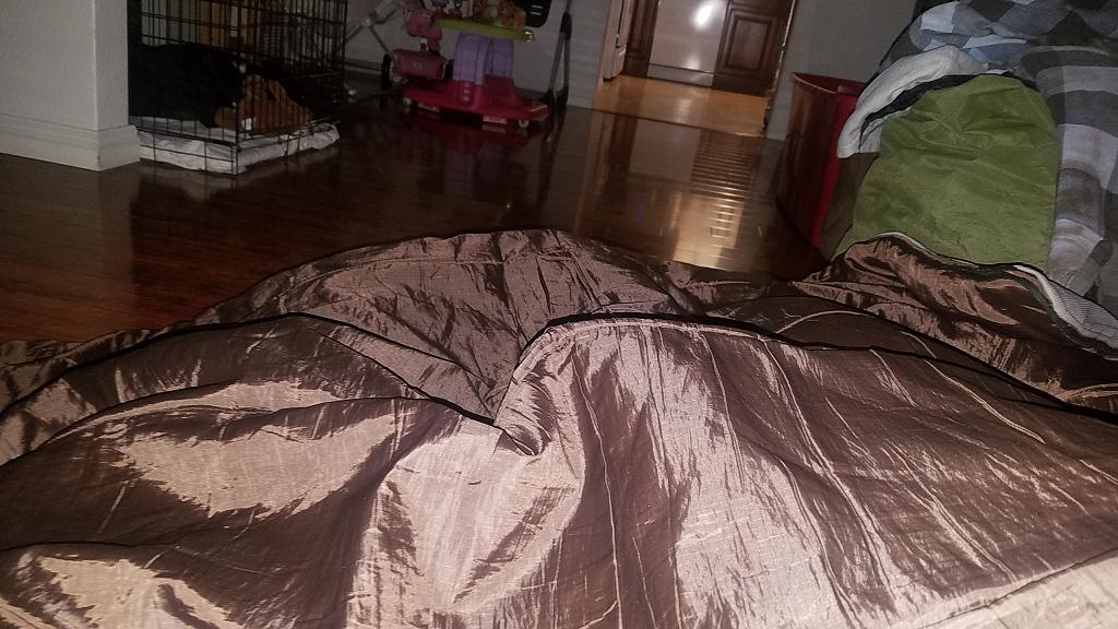 KX GURU RACING SEAN COLLIER KX500 363.JPG