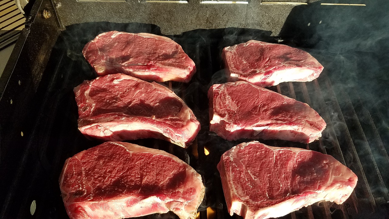 KX GURU RACING KTX500E BUILD 107.jpg